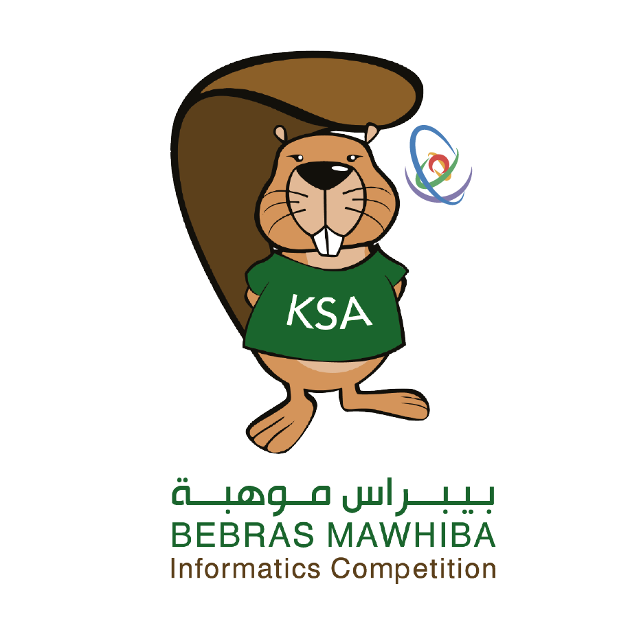 ميداليتان برونزيتان في بيبراس موهبة للمعلوماتية